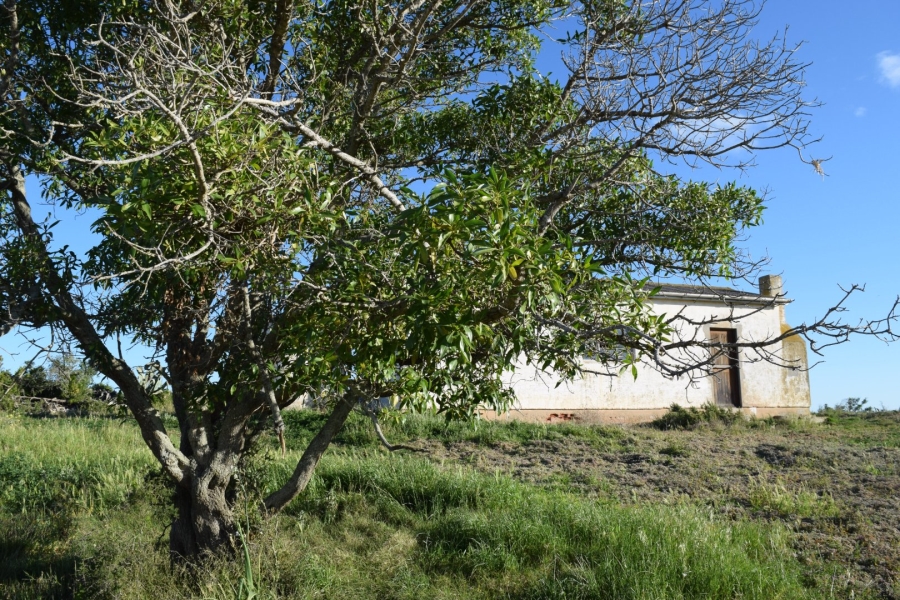 3 Bedroom Property for Sale in Vleesbaai Rural Western Cape